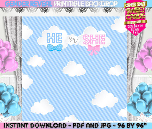 Gender Reveal Backdrop, Blue and Pink clouds gender reveal backdrop, Blue pink backdrop, gender reveal banner, gender reveal party decor
